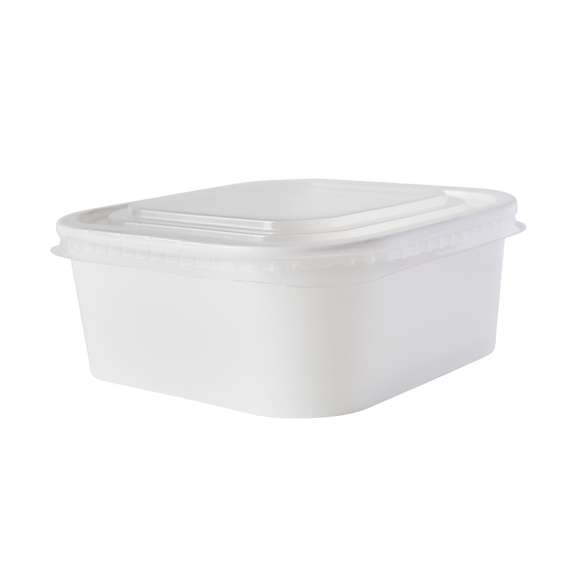 Food Container for Salad Bowl