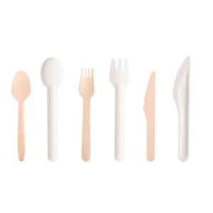 Plastic Cutlery