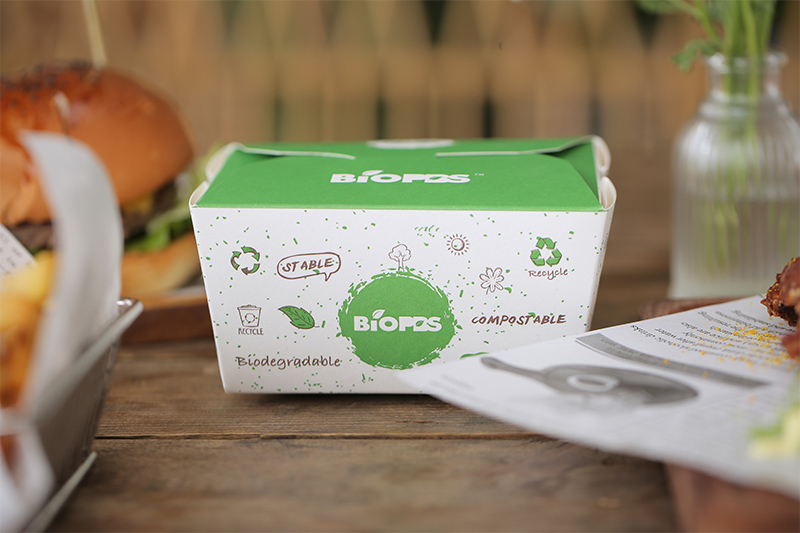 Biodegradable Lunch Box